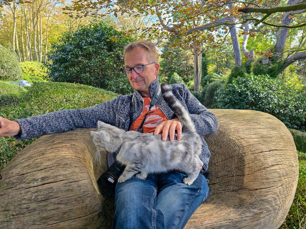 Katze in den Jardins d'Étretat