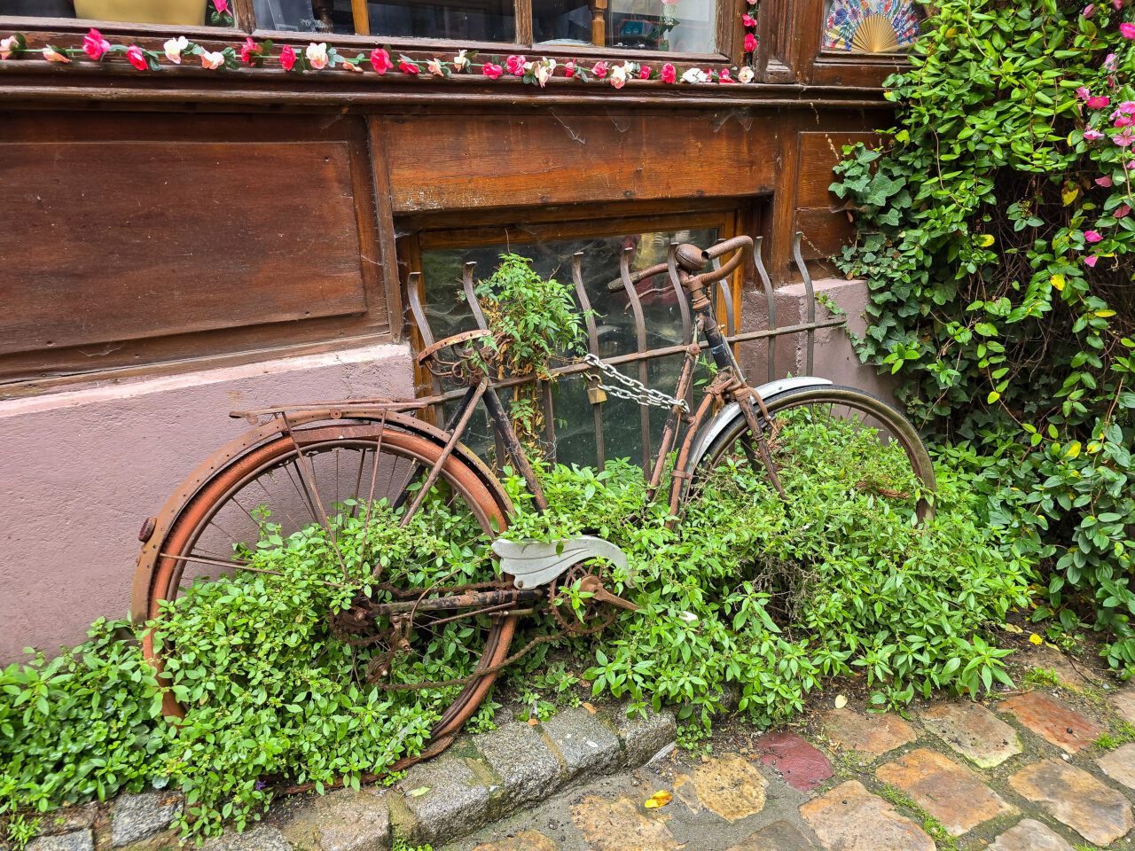 Fahrrad mit Blumen in Honfleur